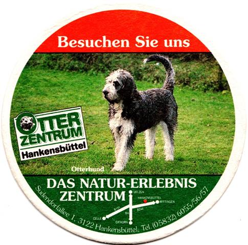 braunschweig bs-ni feld besuchen 5b (rund215-otterhund) 